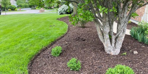 Landscape Company, Landscaping, Custom Landscape, Plant Installation, Landscape Design, Free Estimate Landscape Company, Landscaping, Custom Landscape, Plant Installation, Landscape Design, Free Estimate