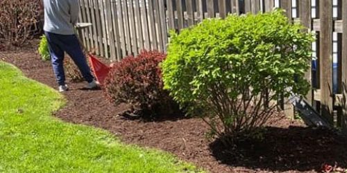 Landscape Company, Landscaping, Custom Landscape, Plant Installation, Landscape Design, Free Estimate Landscape Company, Landscaping, Custom Landscape, Plant Installation, Landscape Design, Free Estimate