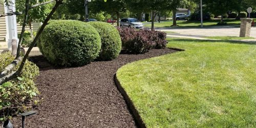 Landscape Company, Landscaping, Custom Landscape, Plant Installation, Landscape Design, Free Estimate