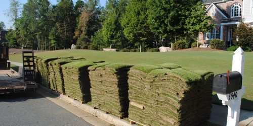 Sod Installation, Sod Installer, New Sod, Sod Company, Sod Contractor