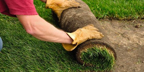 Sod Installation, Sod Installer, New Sod, Sod Company, Sod Contractor