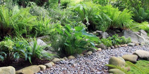 Landscaping, Rock Installation, Landscaping Company, Landscaping Contractor, Landscaping Company Landscaping, Rock Installation, Landscaping Company, Landscaping Contractor, Landscaping Company